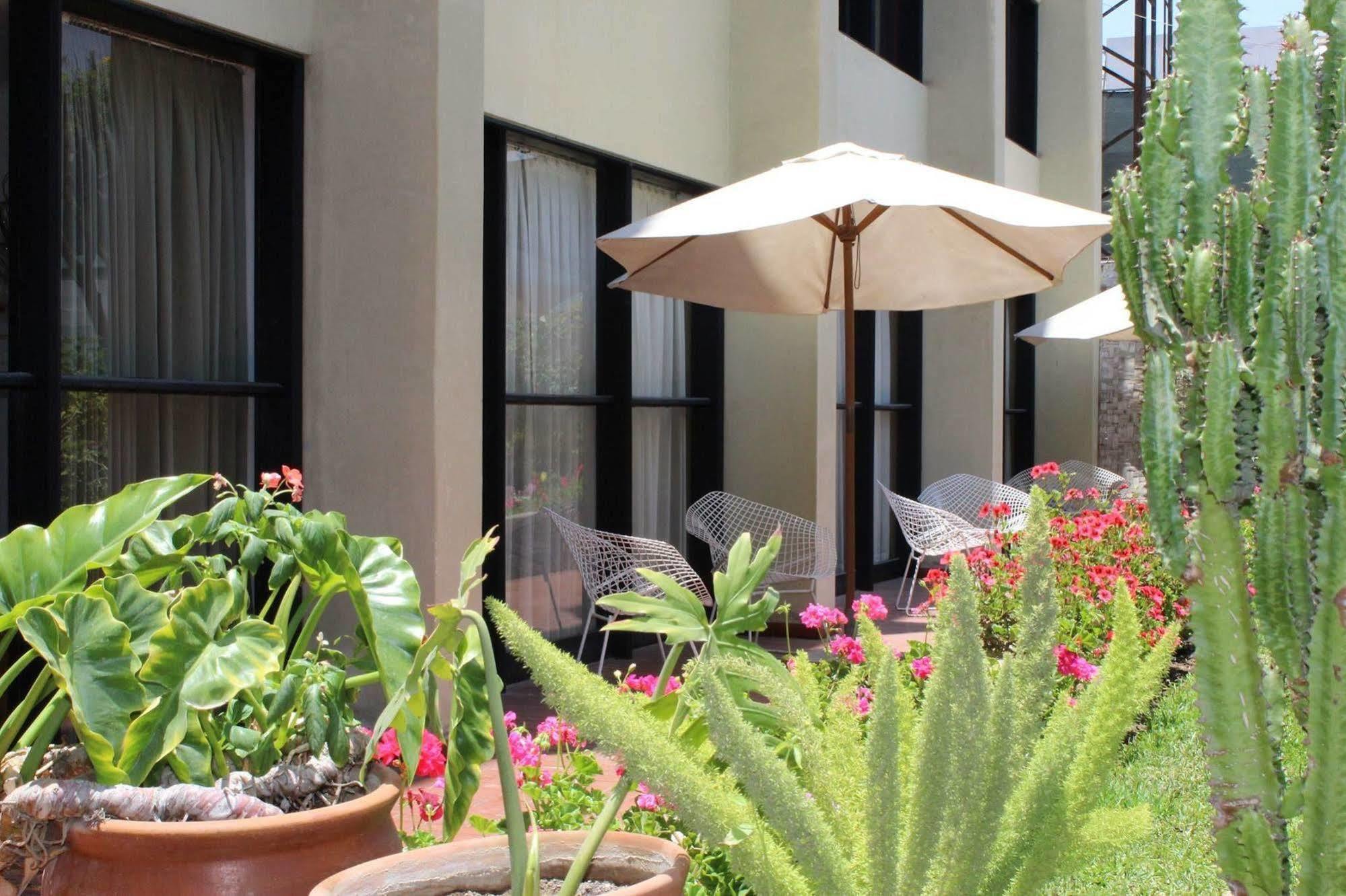Holiday Suites ตักนา ภายนอก รูปภาพ
